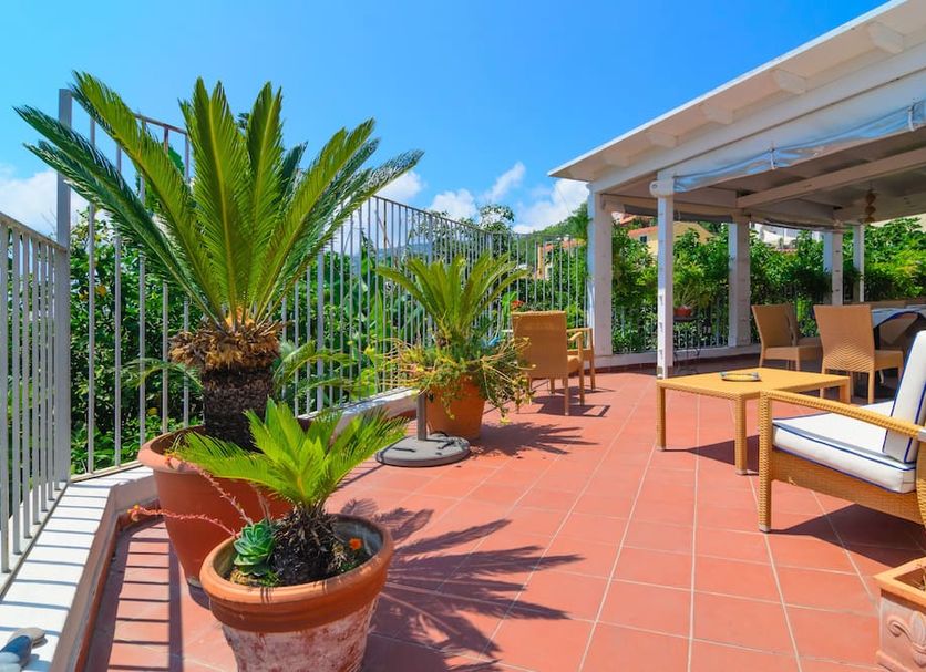 Patio Billede