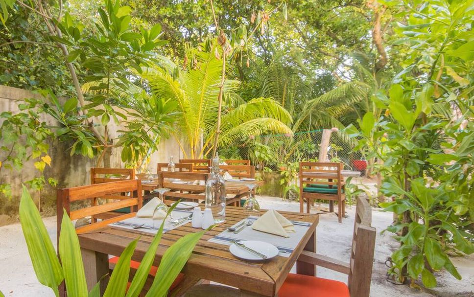 Patio Billede