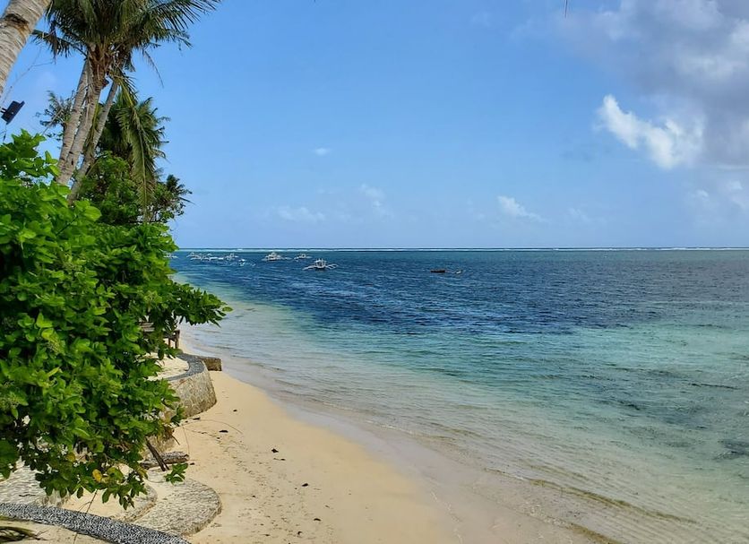Strand Billede