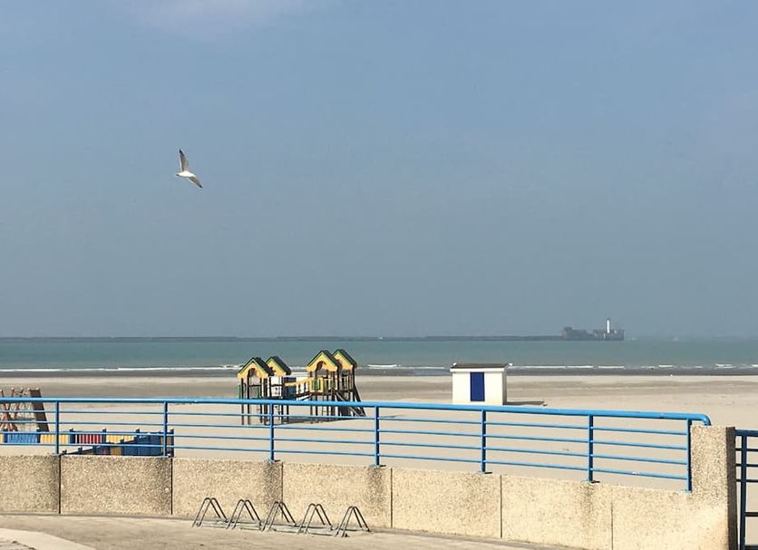 Strand Billede