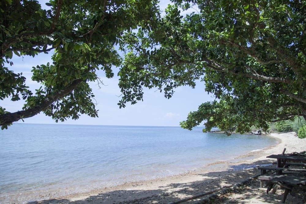 Strand Billede