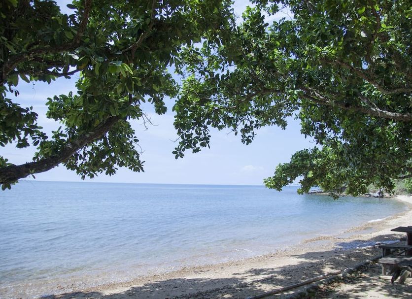 Strand Billede