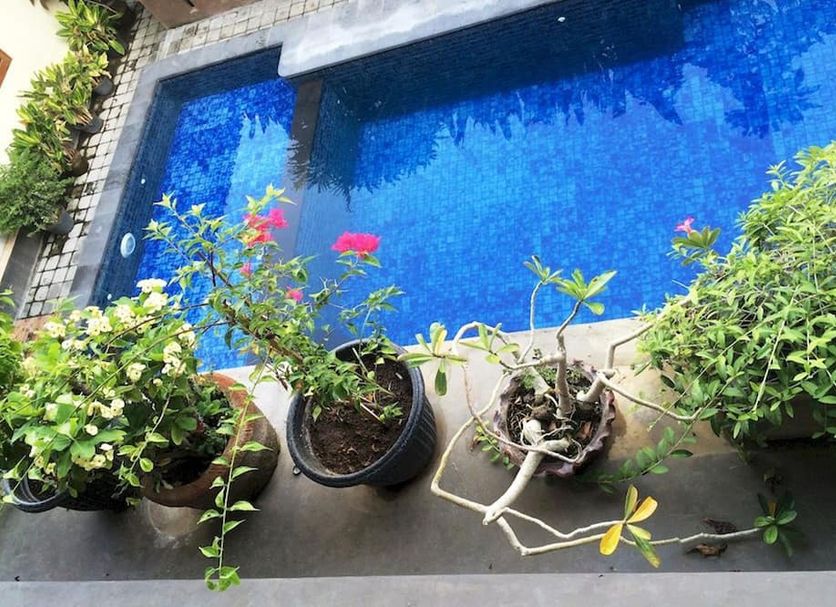 Pool Billede