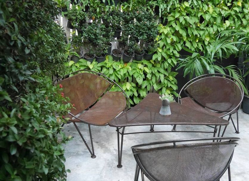 Patio Billede