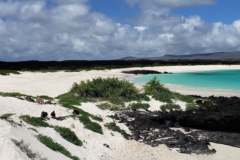 Strand Billede