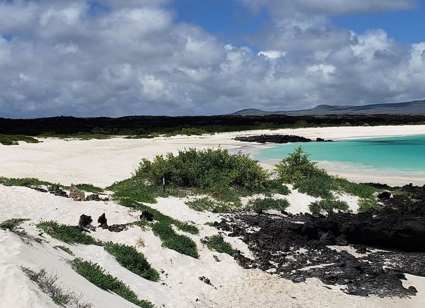 Strand Billede