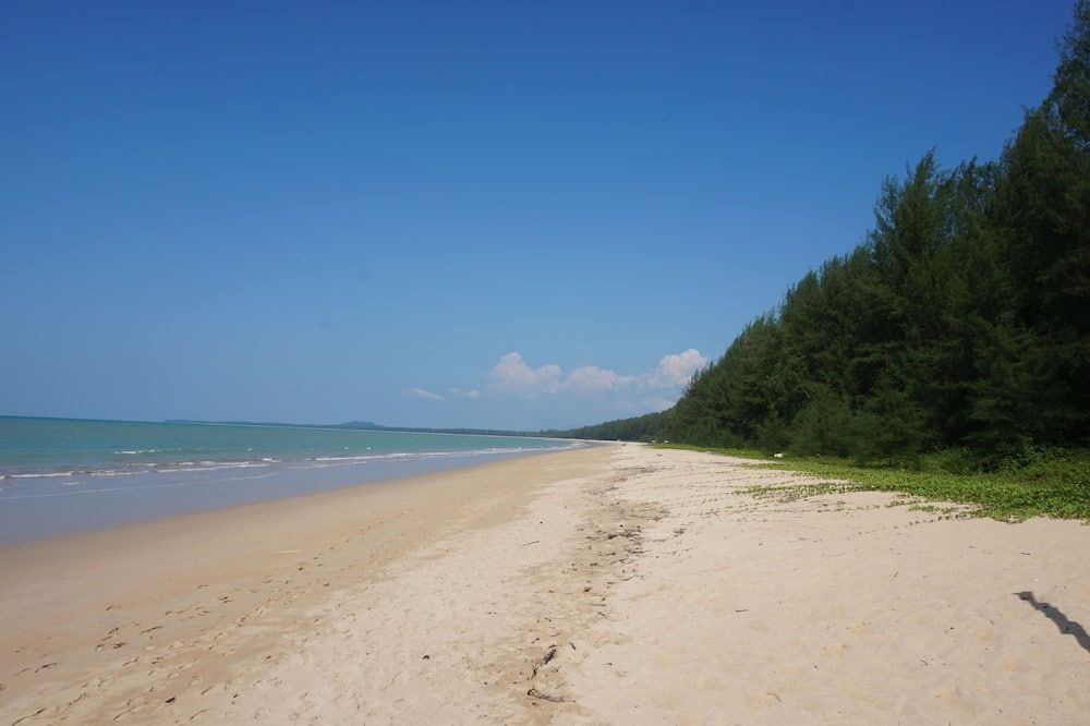 Strand Billede