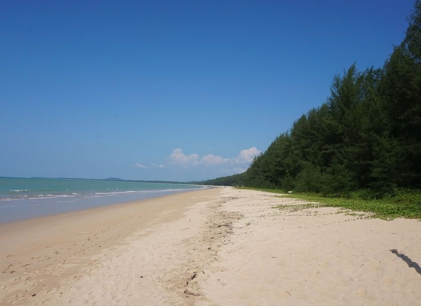 Strand Billede