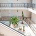 Trappe