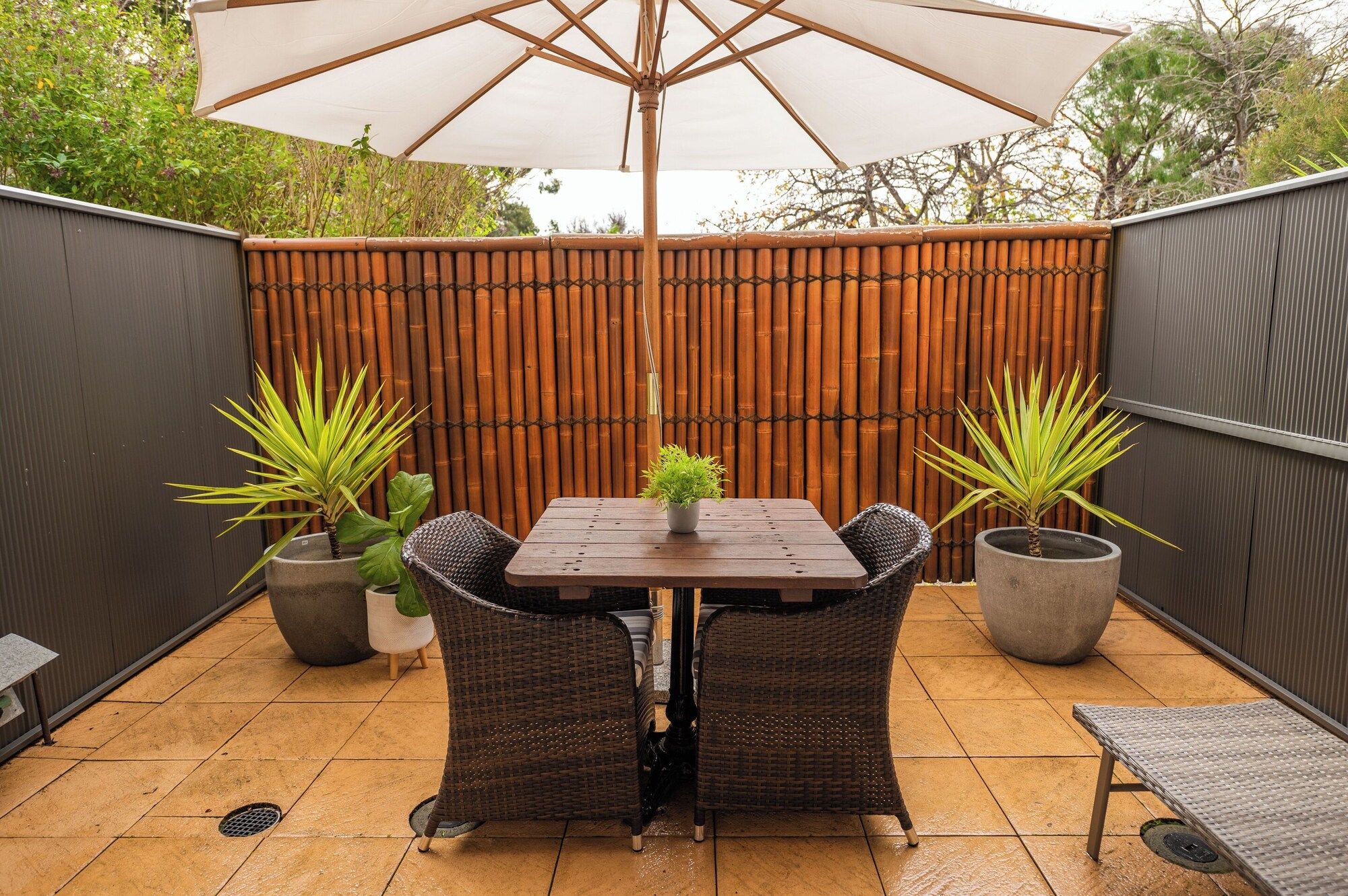 Patio Billede