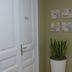 Gang