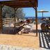 Tagterrasse