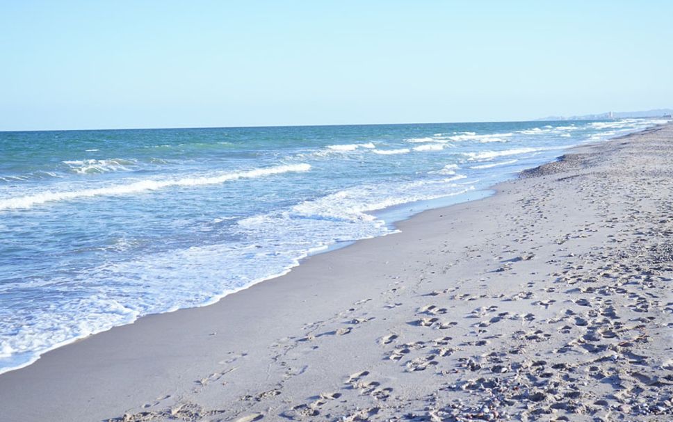 Strand Billede