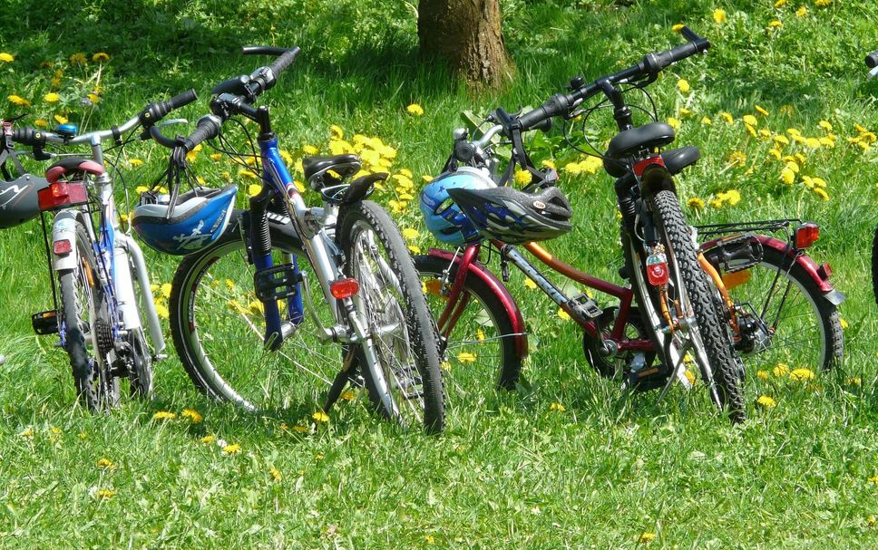 Hotelfacilitet Billede