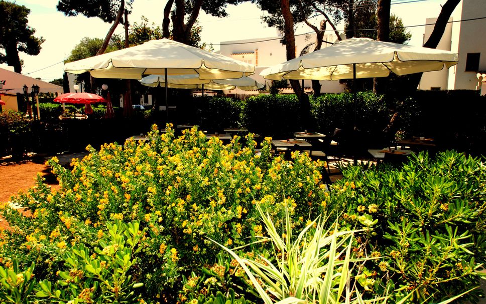 Patio Billede