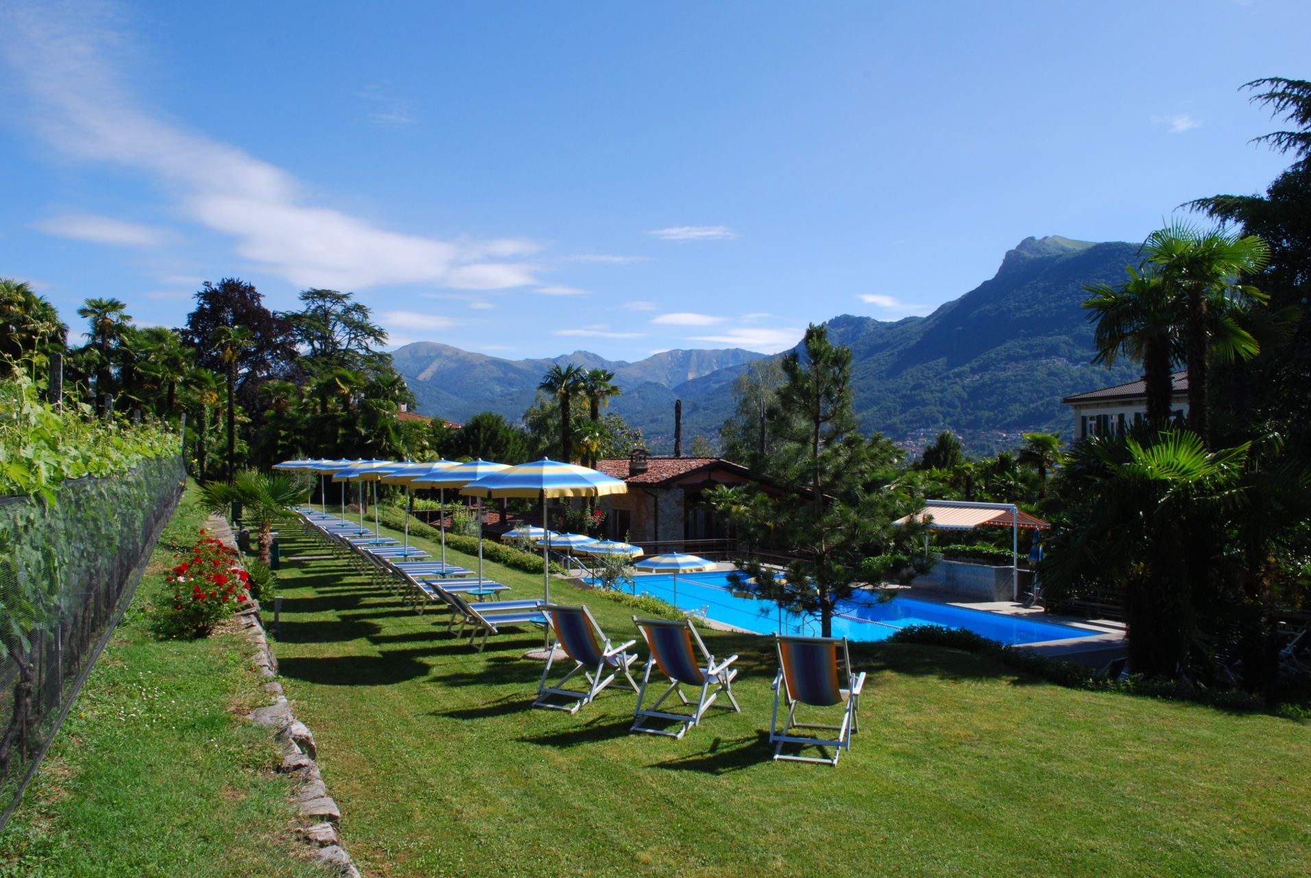 Pool Billede