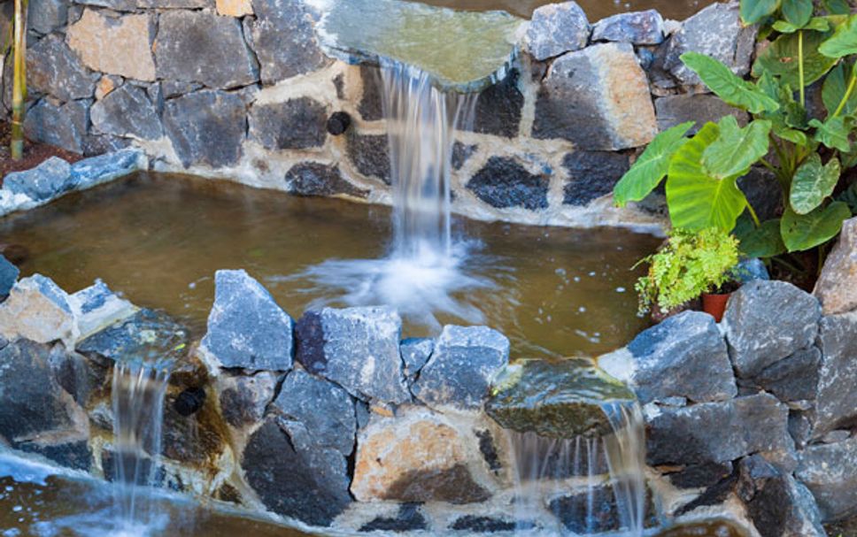 Hotelfacilitet Billede