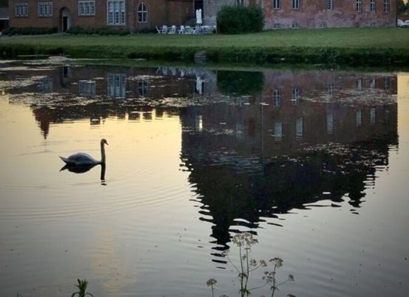 Bygning Billede