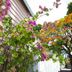Udsigt